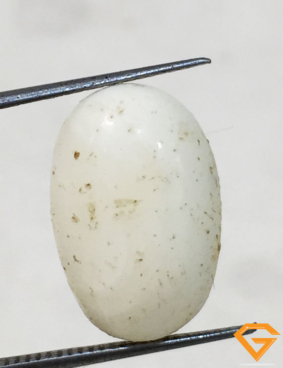 8.50 ratti/7.67 ct Natural Certified  White Coral/सफ़ेद मूंगा